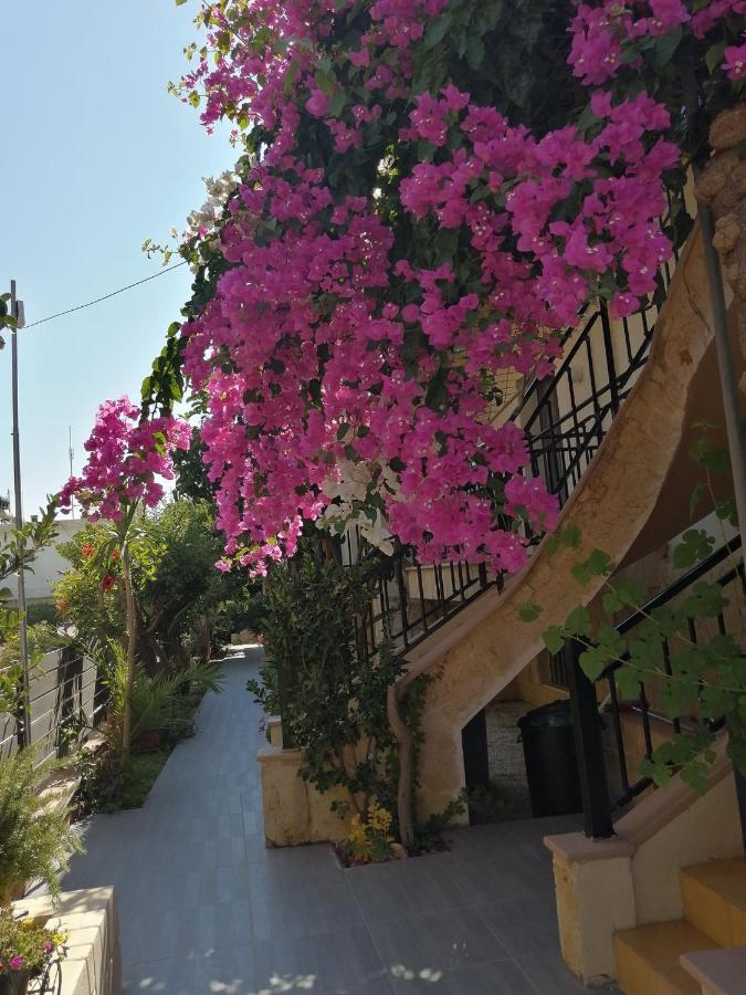 Iliana Apartments ゲオルギオポリス エクステリア 写真