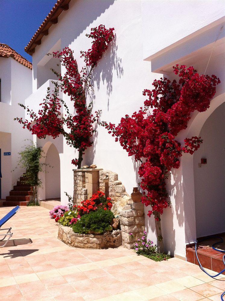 Iliana Apartments ゲオルギオポリス エクステリア 写真